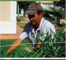 garden_maintenance_algarve_spinners